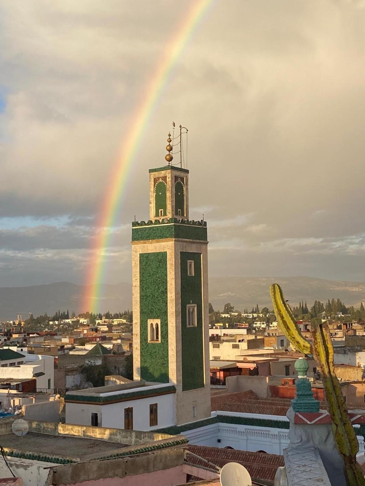 مكناز Riad Malak المظهر الخارجي الصورة